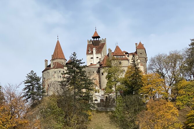 Dracula’s Tour – Vampires, Ghosts and Haunted Places in Bran - Elena, the willow, and the vampire’s tombstone