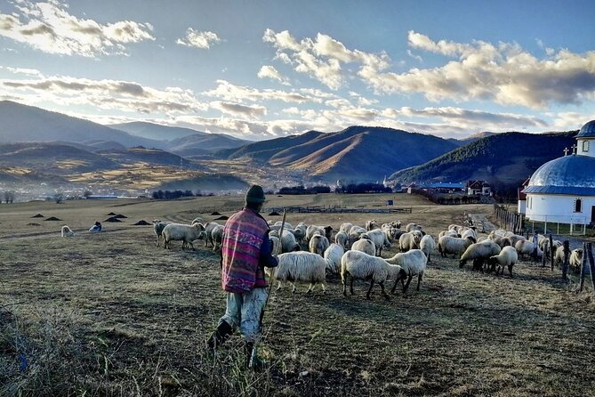 Exclusive Tour: Corvin Castle, Alba Iulia and traditional villages from Sibiu - The Rasinari viewpoint and Carpathian views