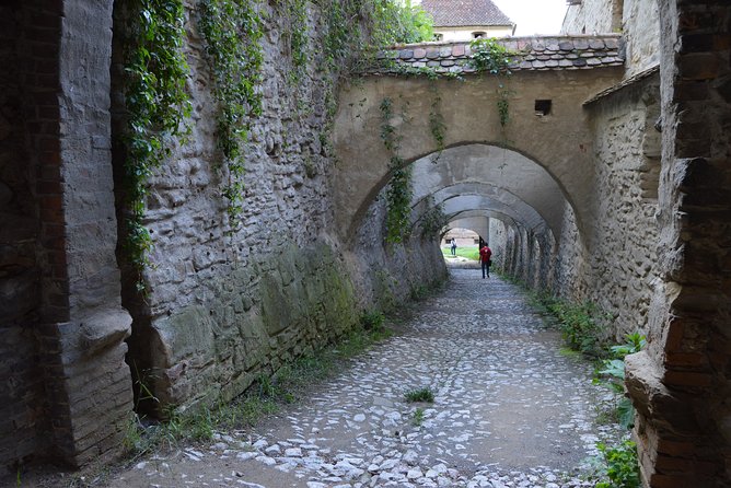 Exclusive tour: Sighisoara, Medias and Biertan tour from Sibiu - Is $84.29 a fair price?
