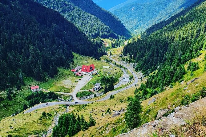 Executive Dracula Day Trip - See Bran & Peles Castle, Brasov from Bucharest - Who should book this day trip?