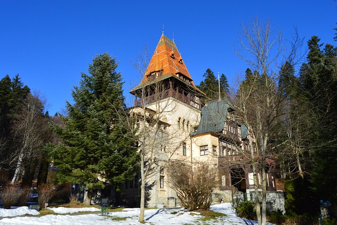 Fairytale Castles of Romania Tour - What the private vehicle adds
