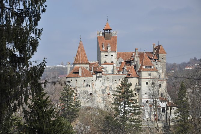 From Brasov: Discover Bran Castle and Râșnov Fortress - Why an early start matters at Bran