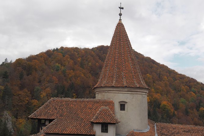 From Brasov: Discover Bran Castle and Râșnov Fortress - A guide can make or break the drive