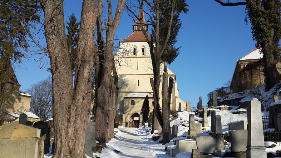 From Brasov: Guided Sighisoara and Sibiu Private Day Trip - Transport, pickup, and the rhythm of the day