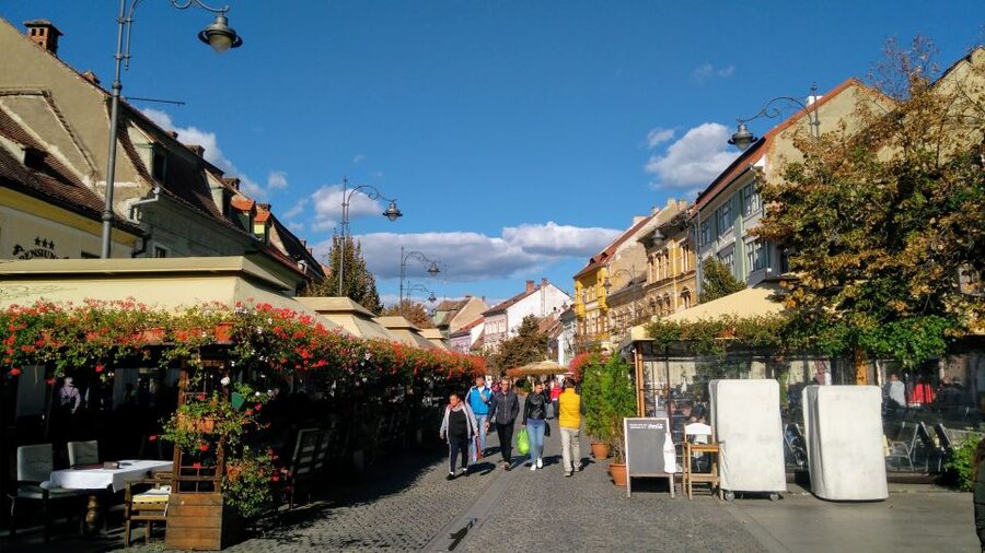 From Brasov: Guided Sighisoara and Sibiu Private Day Trip - Who will get the most from this tour?
