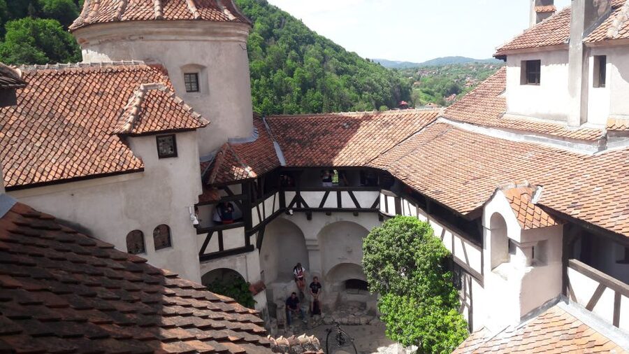 From Brasov: Peles Castle, Bran Castle & Cantacuzino Castle - Peles Castle: the grand first stop