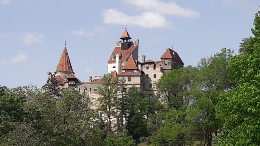 From Brasov: Peles Castle, Bran Castle & Cantacuzino Castle - The Mercedes van and the drive from Brasov