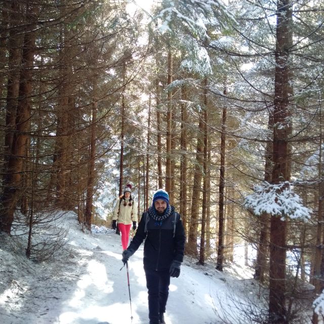 From Brasov: Piatra Craiului National Park Private Day Tour - Leaving Brasov for the Carpathian foothills