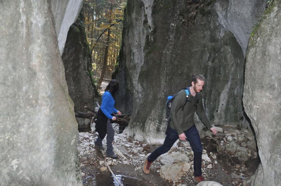 From Brasov: Piatra Craiului National Park Private Day Tour - How private guiding changes the day