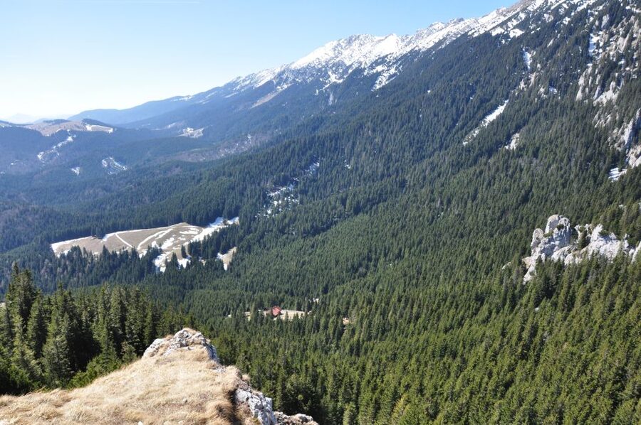 From Brasov: Piatra Craiului National Park Private Day Tour - Weather, clothing, and physical demands