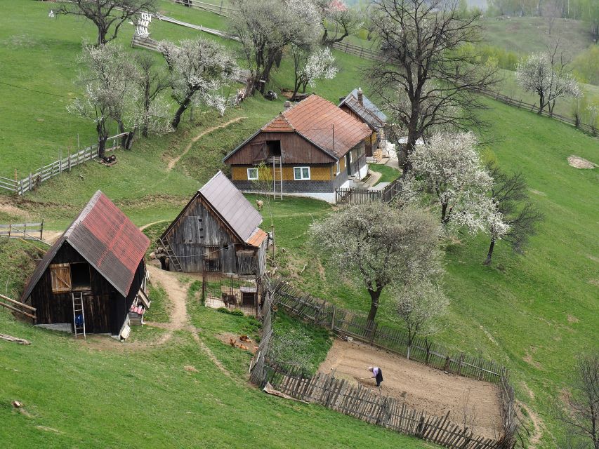 From Brasov: Romanian Mountain Villages Day Tour - Hiking from Magura through meadows and forest