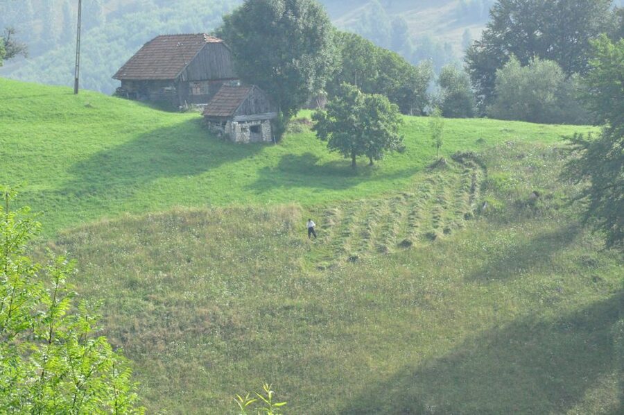 From Brasov: Romanian Mountain Villages Day Tour - Lunch at the oldest guesthouse in the park