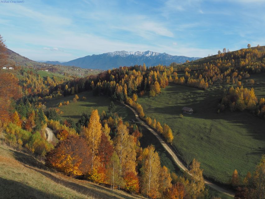 From Brasov: Romanian Mountain Villages Day Tour - How much value do you get for $116?