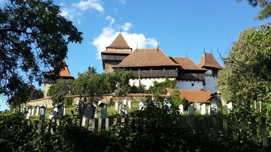 From Brasov: Sighisoara and Viscri UNESCO Day Tour - Who will enjoy this Brașov day trip?