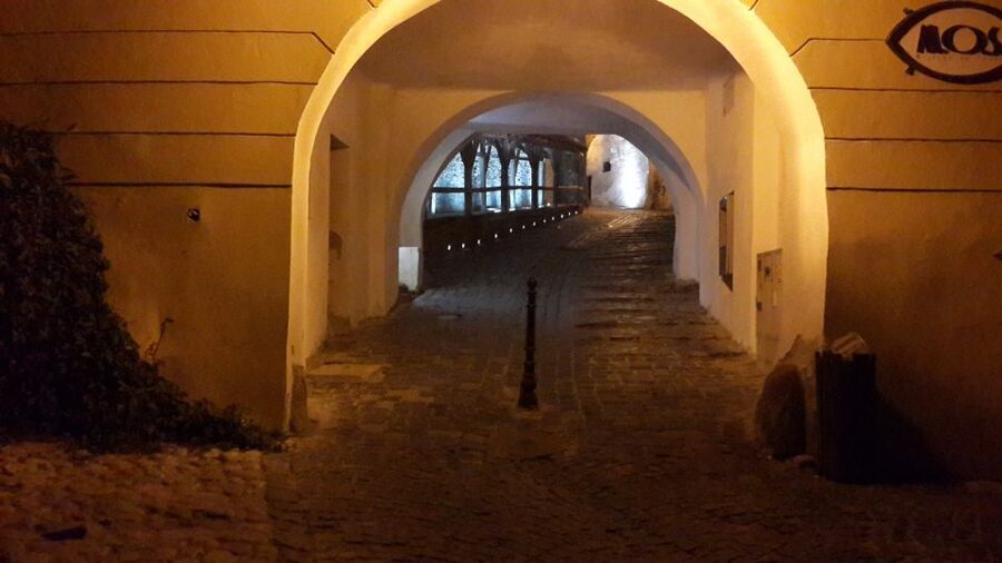 From Brasov: Sighisoara and Viscri UNESCO Day Tour - Transport, comfort, and the reality of the road