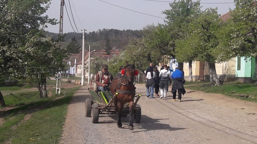 From Brasov: Sighisoara, Viscri, and Rupea Unesco Day Trip - Is $138 a fair price?