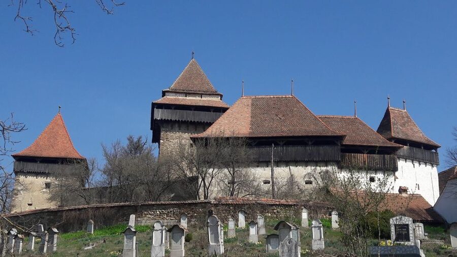 From Brasov: Sighisoara, Viscri, and Rupea Unesco Day Trip - Who should book this day trip?