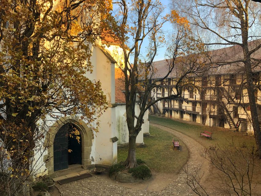 From Brasov: Small-Group Half-Day Fortified Churches Tour - Prejmer and its 14-meter defensive walls