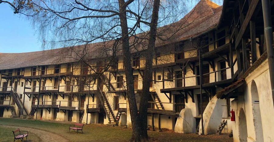 From Brasov: Small-Group Half-Day Fortified Churches Tour - What the guide adds to the visit