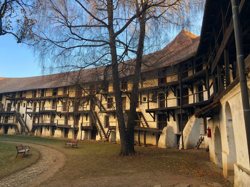From Brasov: Small-Group Half-Day Fortified Churches Tour - Who should take this half-day tour?