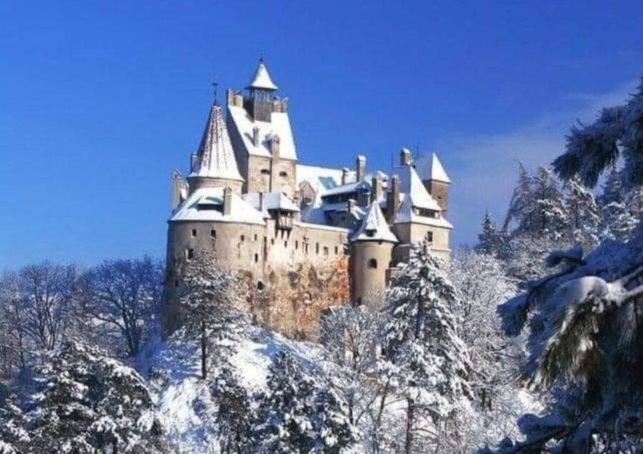From Bucharest: 2-Day Tour to Brasov and Sighisoara - Practical advice for a smoother trip