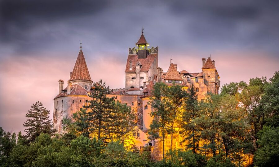From Bucharest: A Taste of Transylvania: Private Tour - What the $256 Price Really Covers