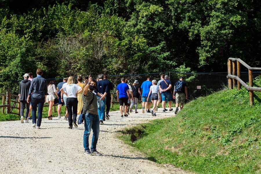 From Bucharest: Bear Sanctuary and Dracula Castle Day Tour - Meeting the Carpathian Bears Respectfully
