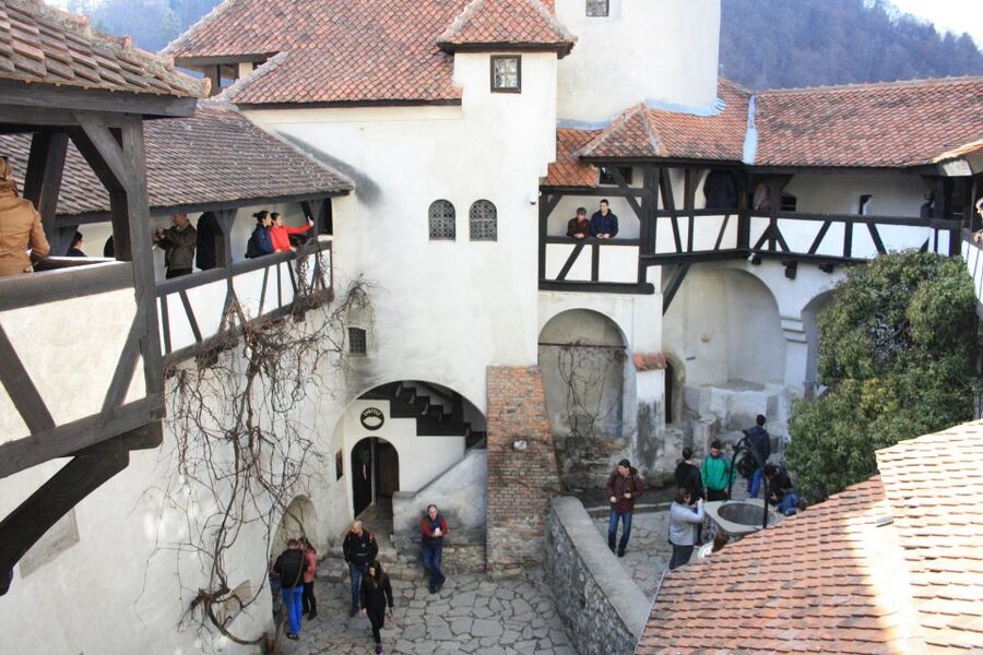From Bucharest: Bear Sanctuary and Dracula Castle Day Tour - What to Wear and What to Expect