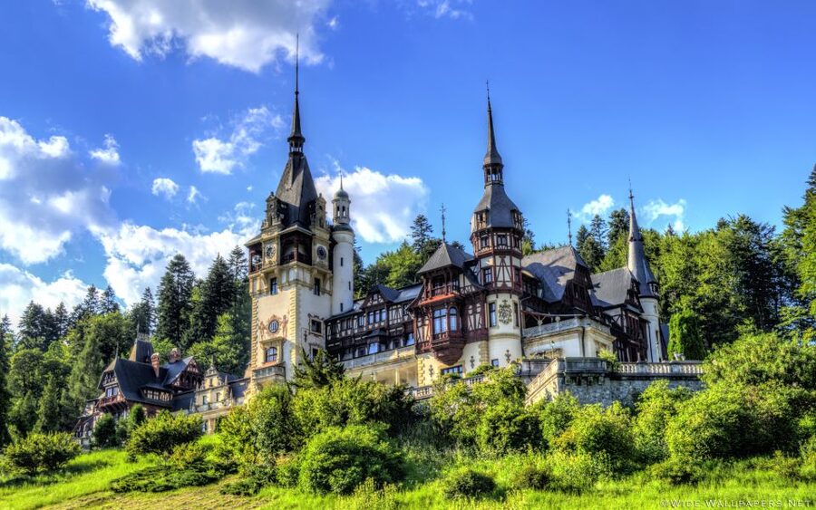 From Bucharest: Day Trip to Dracula and Peles Castle - Timing, comfort, and the real cost