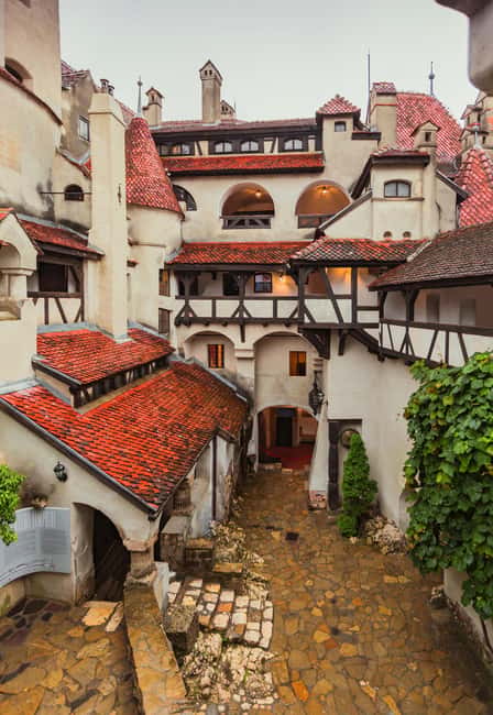 From Bucharest: Day Trip to Peles, Dracula's Castle, Brasov - Bran Castle and the Dracula story