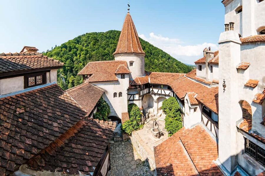 From Bucharest: Day Trip to Peles, Dracula's Castle, Brasov - The long ride back to Bucharest