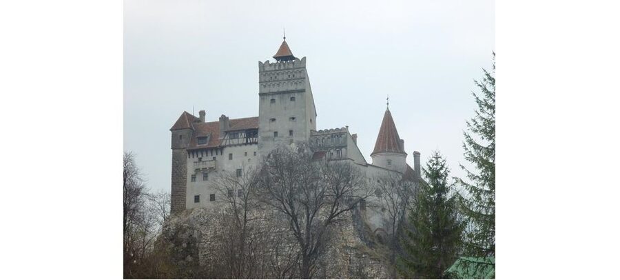 From Bucharest: Dracula Castle Day Trip - Inside Peleș Palace with one hour to look around