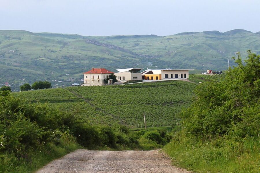 From Bucharest: Exclusive Dealu Mare Wine Tasting Tour - Lacerta: a modern start with old-world methods