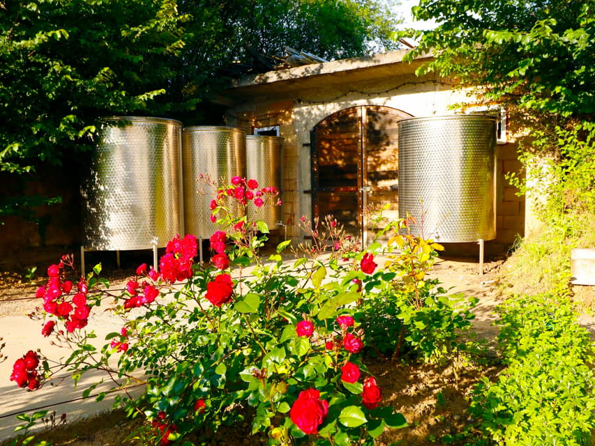 From Bucharest: Exclusive Dealu Mare Wine Tasting Tour - Lunch between the tastings