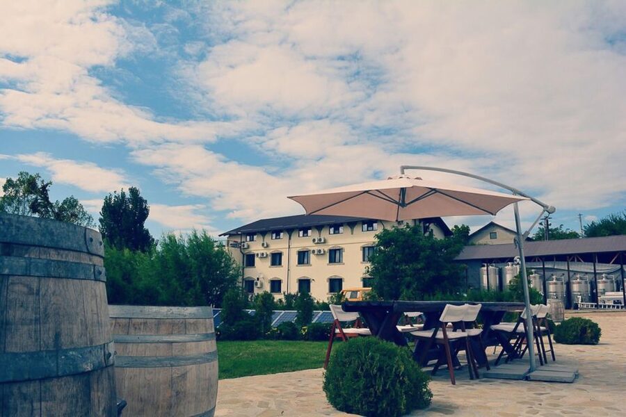From Bucharest: Exclusive Dealu Mare Wine Tasting Tour - 1000 Chipuri and the family winery feel