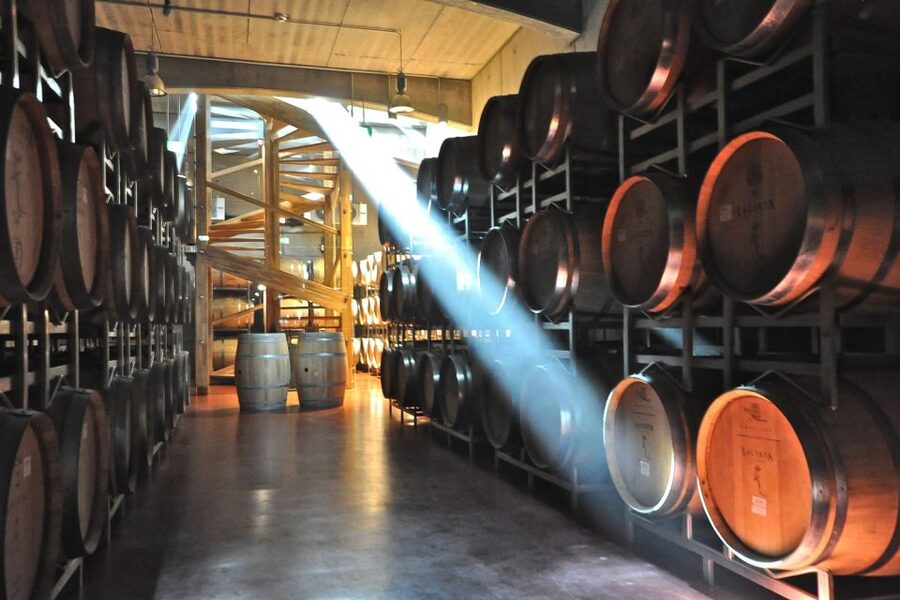 From Bucharest: Exclusive Dealu Mare Wine Tasting Tour - Who will enjoy this trip most