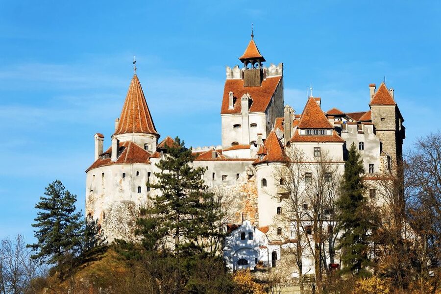From Bucharest: Libearty Bear Sanctuary and Dracula's Castle - Prepare for Steep Paths and Forest Walking