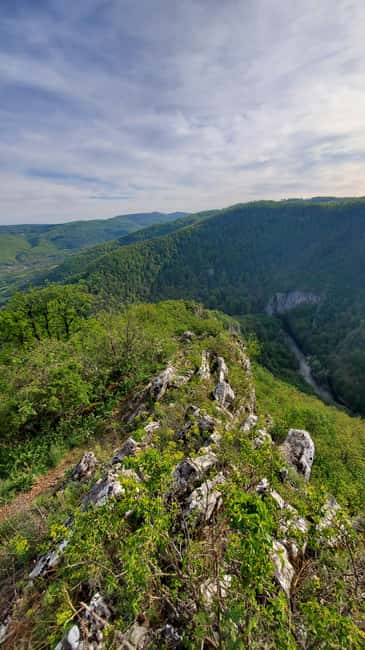 From Cluj: Gorges of Crisul Repede River - Booking advice for the Crisul Repede Gorges