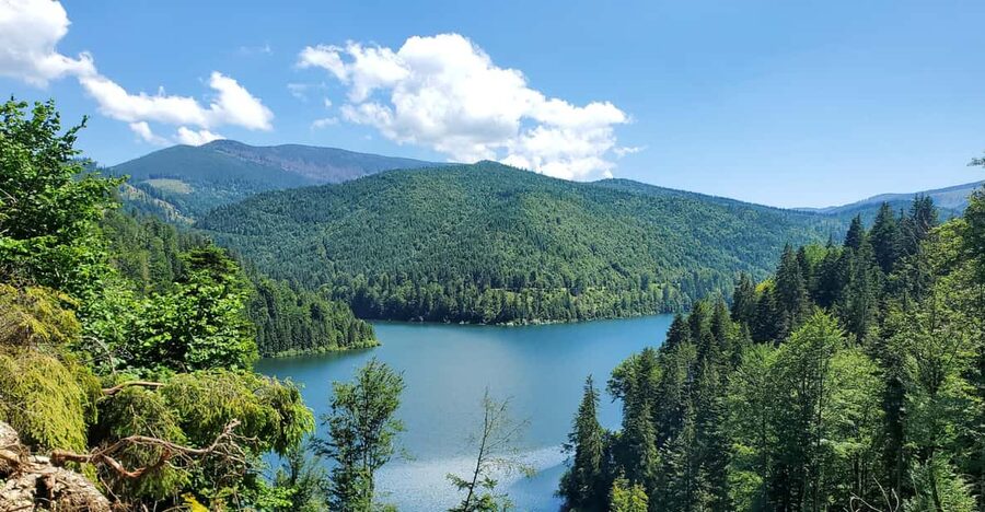 From Cluj: Mountain Bike around Lake Dragan - Key points to know before you ride