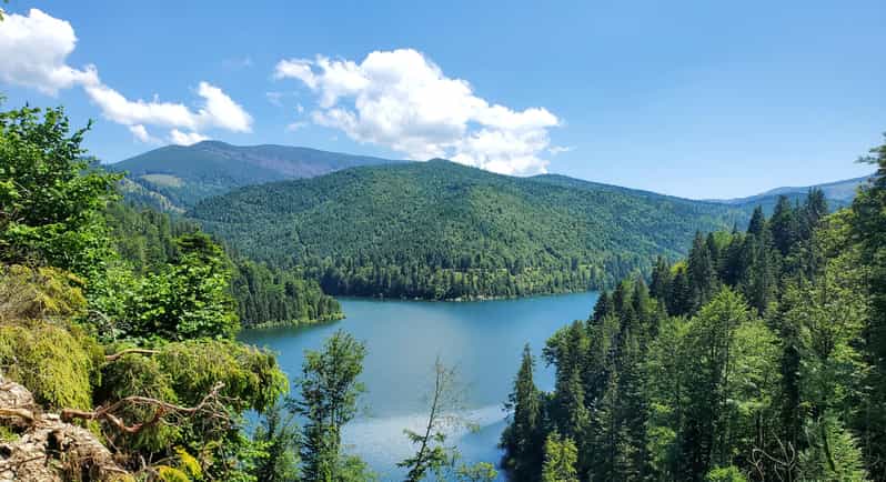 From Cluj: Mountain Bike around Lake Dragan - The first descent from the viewpoint