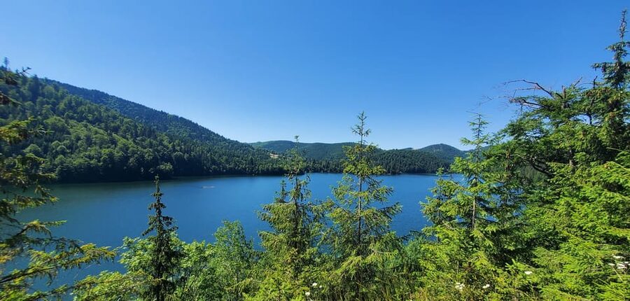 From Cluj: Mountain Bike around Lake Dragan - Marcel and the small-group format