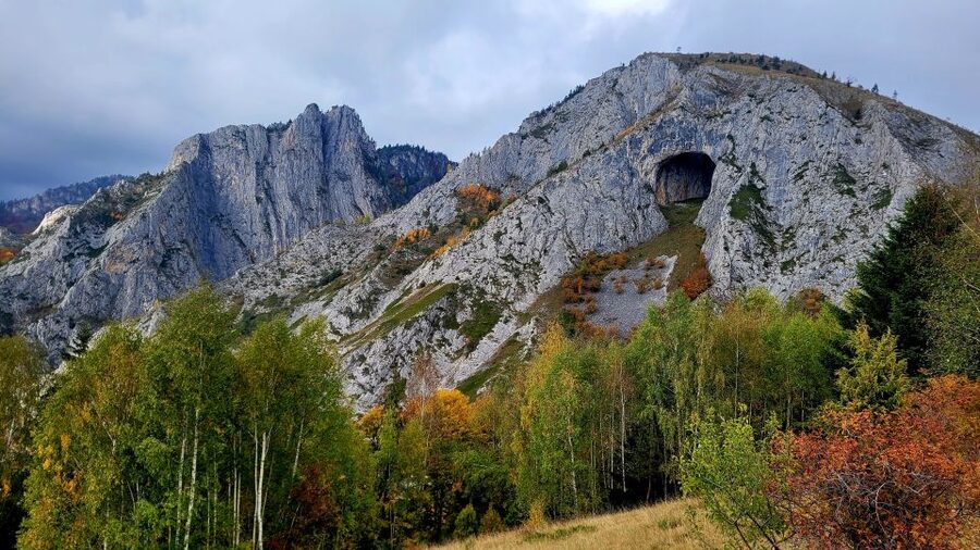 From Cluj-Napoca: Apuseni Mountains Hiking Guided Day Tour - From Cluj-Napoca to Posaga de Sus