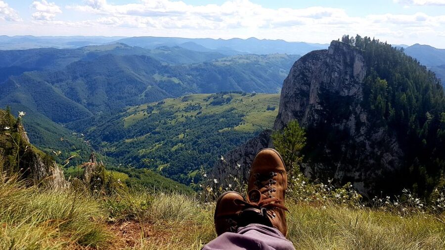 From Cluj-Napoca: Apuseni Mountains Hiking Guided Day Tour - A botanical reserve with rare plants and fungi