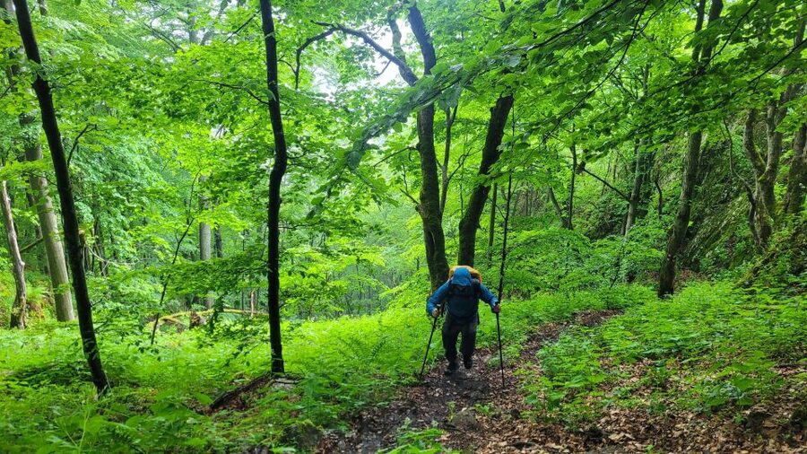 From Cluj-Napoca: Apuseni Mountains Hiking Guided Day Tour - Lunch, breaks, and the human side of the walk