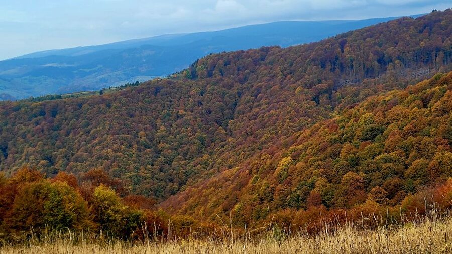 From Cluj-Napoca: Apuseni Mountains Hiking Guided Day Tour - Is $115 a fair price?
