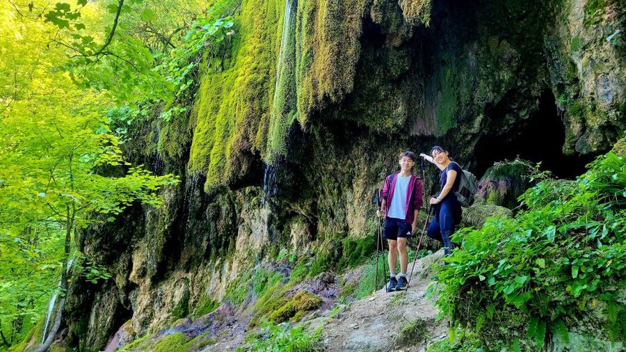 From Cluj-Napoca: Apuseni Mountains Hiking Guided Day Tour - The climb through beech forest