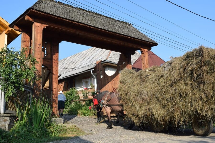 From Cluj-Napoca: Maramures Day Tour - Sapanta and the Merry Cemetery