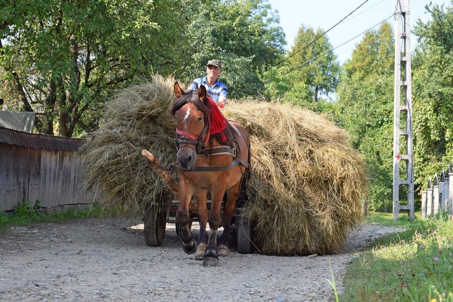 From Cluj-Napoca: Maramures Day Tour - Is $189 a fair price?