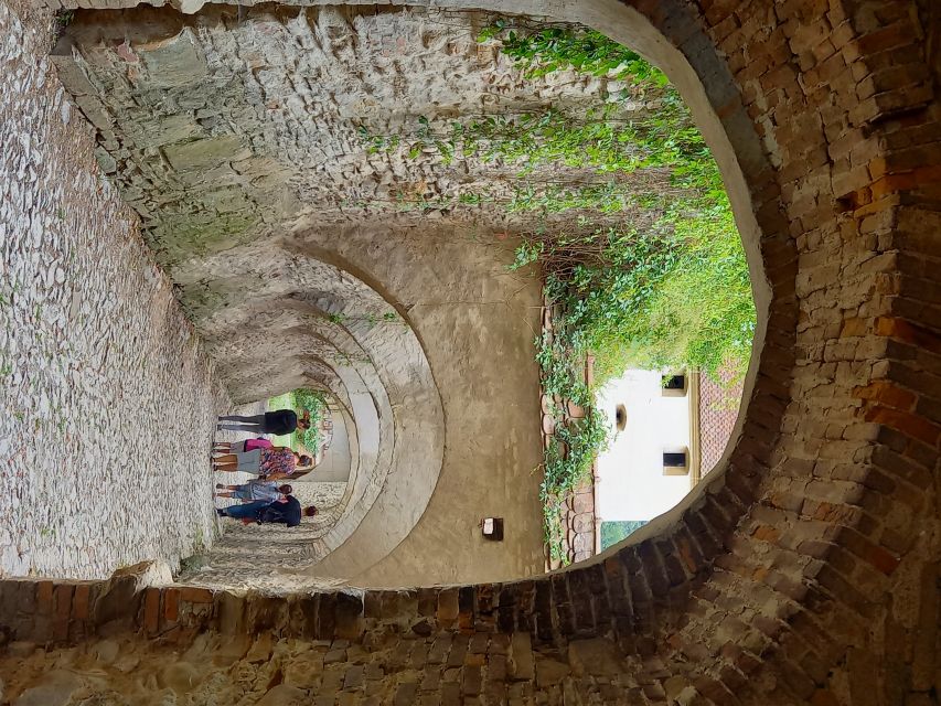 From Cluj: Sighișoara and Church of Biertan Guided Tour - Key points at a glance