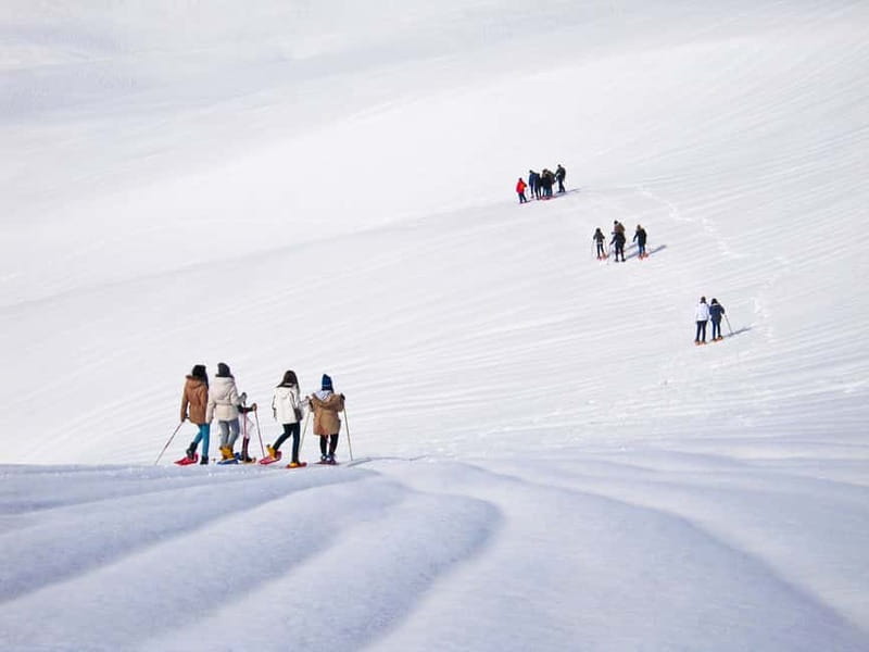 From Cluj: Winter Walking Trip on the Great Mountain - Leaving Cluj for the Great Mountain